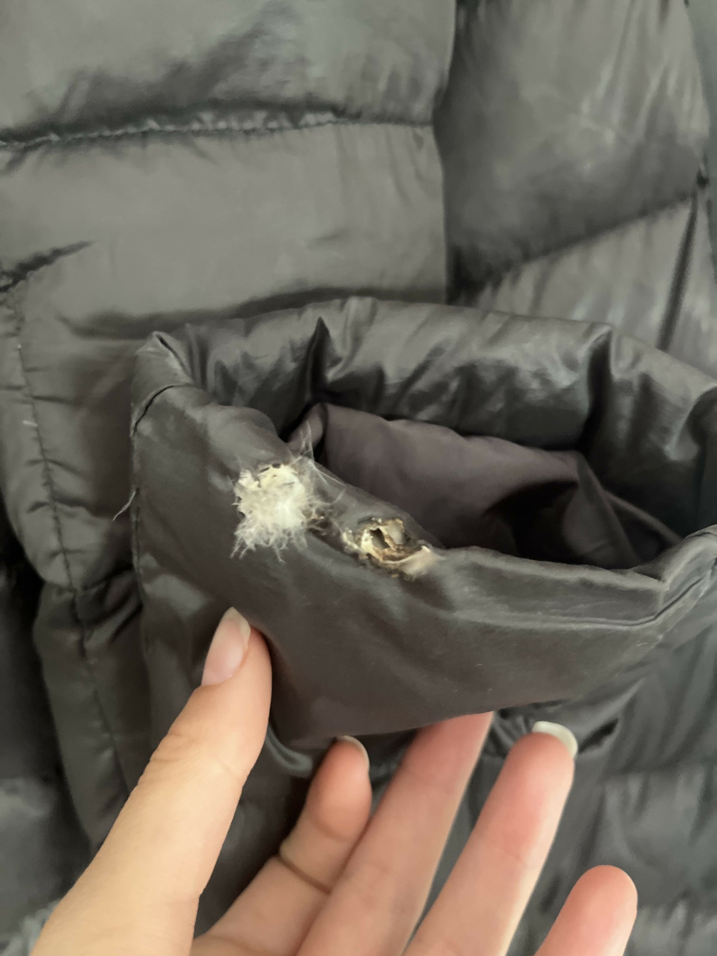 Moncler Grey Tinuiviel Giubbotto Jacket