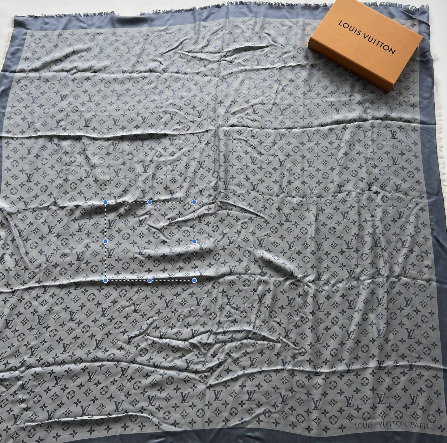 Louis Vuitton Monogram Scarf