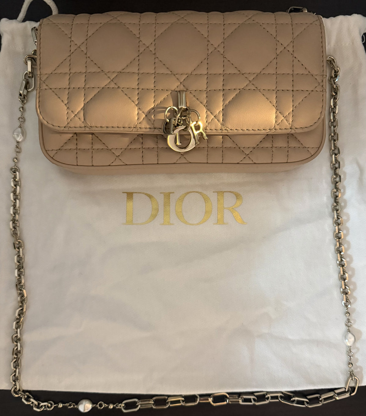 Lady Dior Phone Pouch