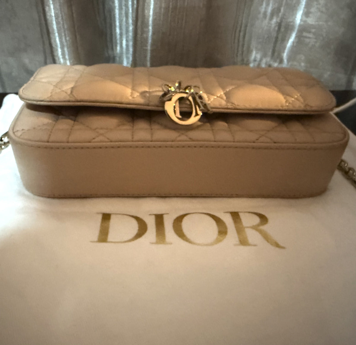 Lady Dior Phone Pouch