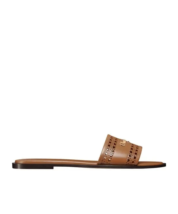 Christian Dior D-Lane Slide in Chestnut