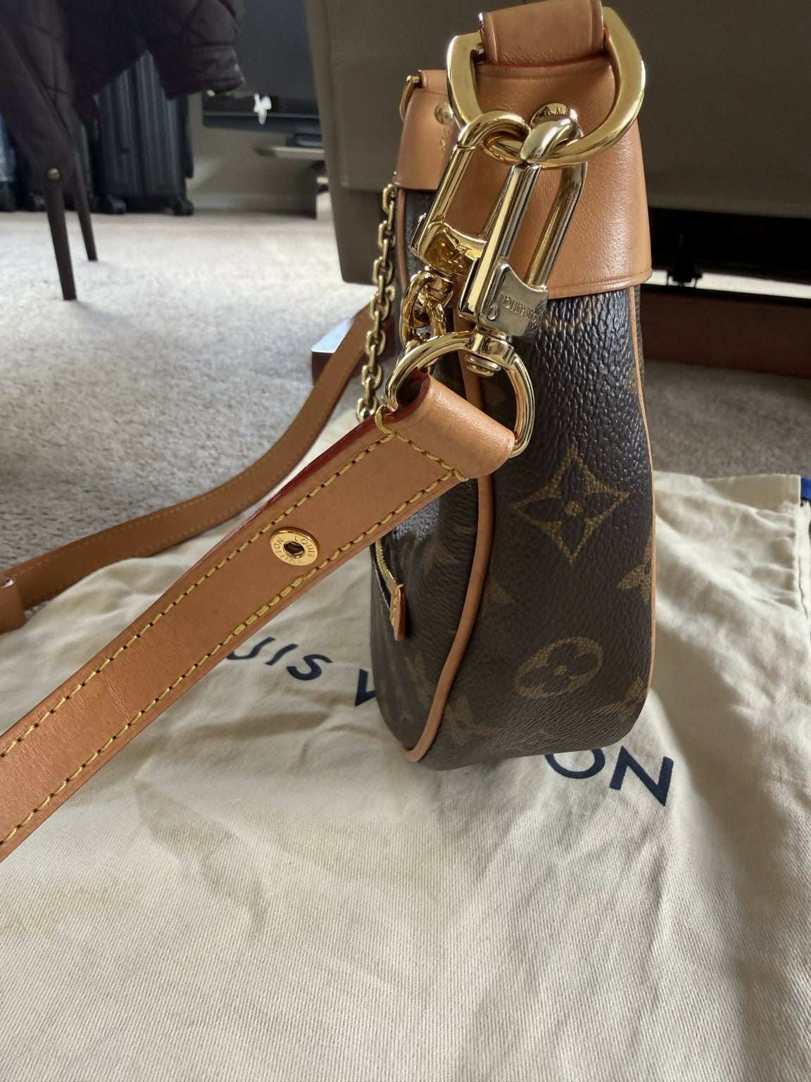 Louis Vuitton Loop Monogram Canvas Shoulder & Crossbody Bag M81098