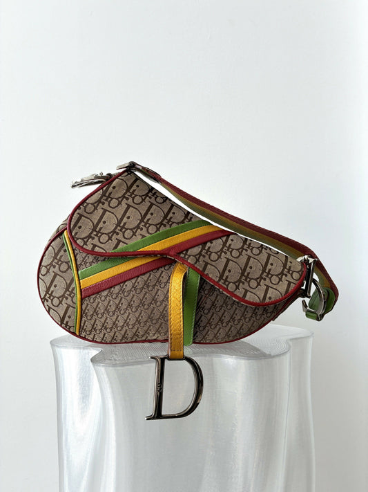Dior Rasta Saddle Bag