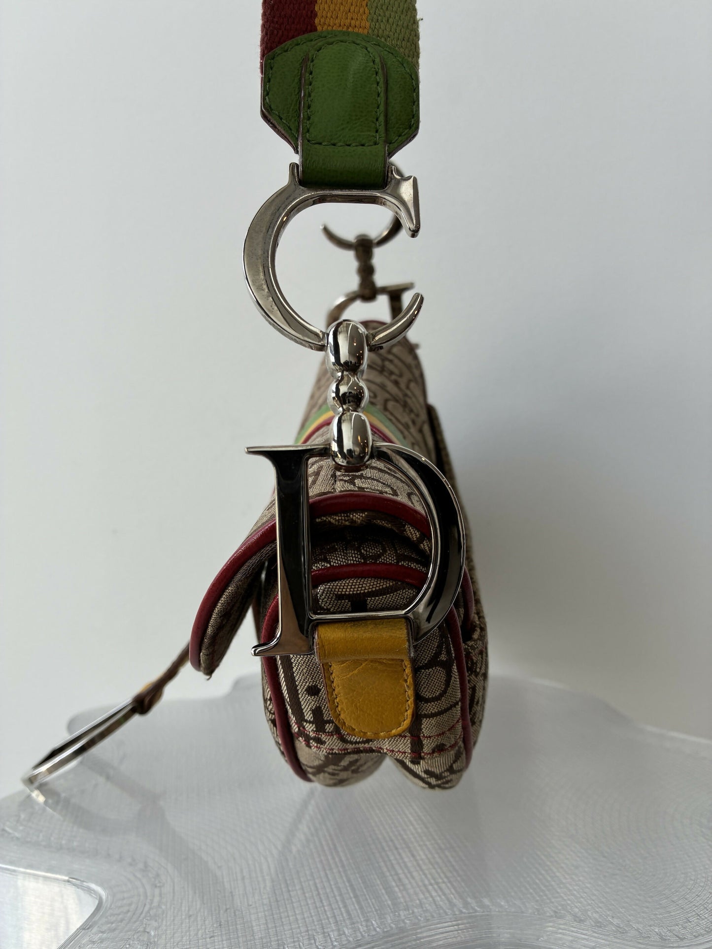 Dior Rasta Saddle Bag