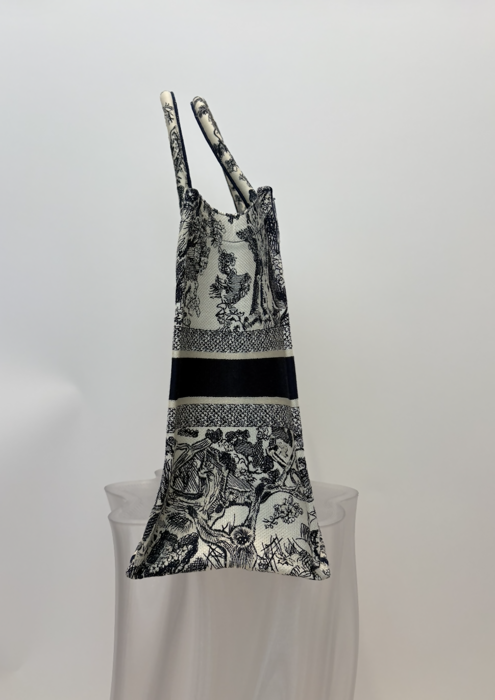 Dior Book Tote in Blue and Ecru Toile de Jouy Embroidery