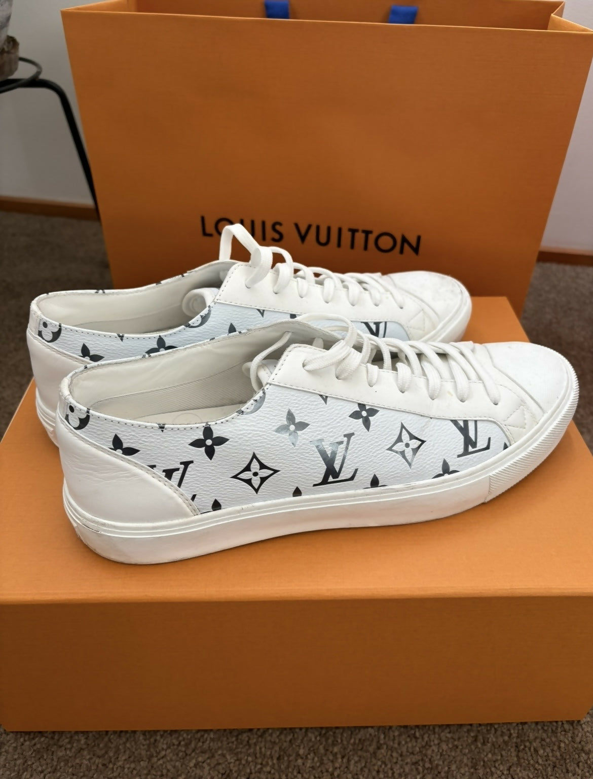 Louis Vuitton White Monogram Shoes