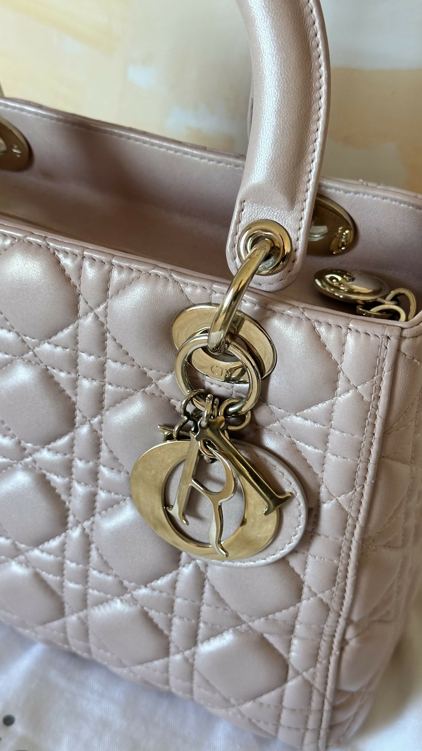 Christian Dior Medium Iridescent Lambskin Cannage Lady Satchel