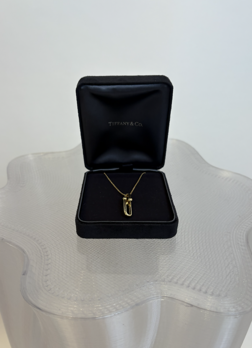 Tiffany & Co. 18K Yellow Gold HardWear Link Pendant Necklace - Full Set