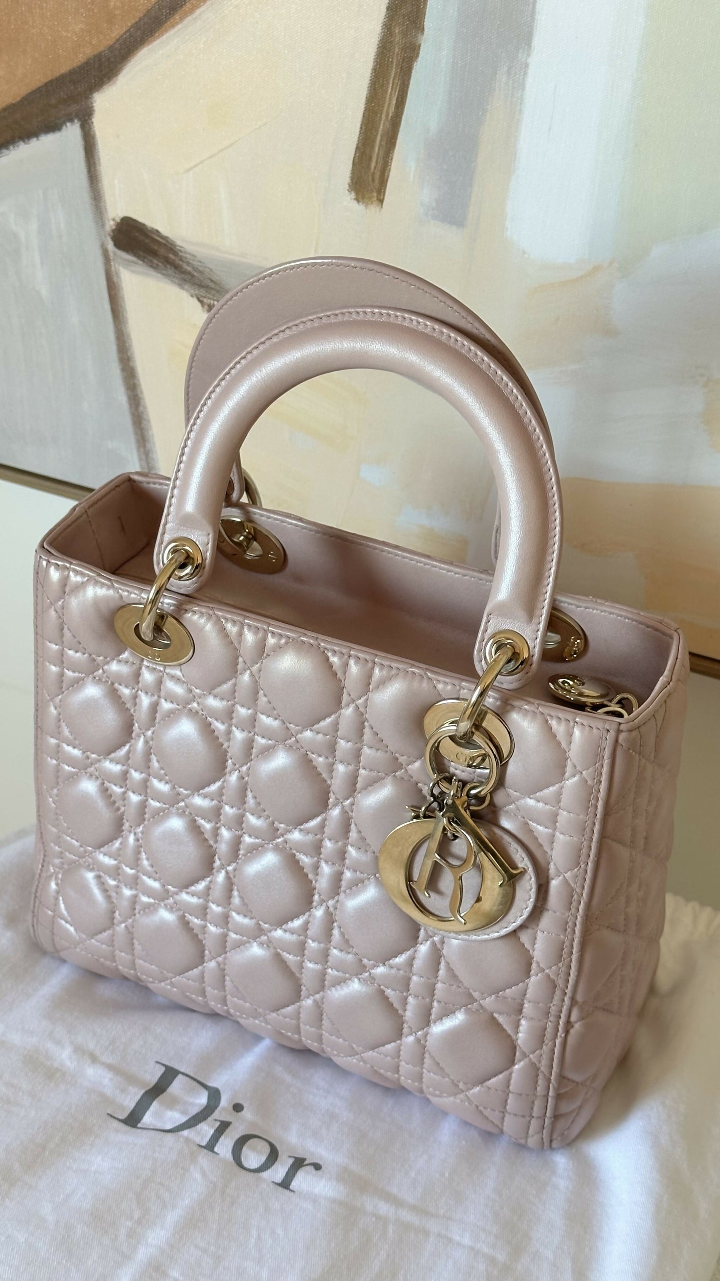 Christian Dior Medium Iridescent Lambskin Cannage Lady Satchel