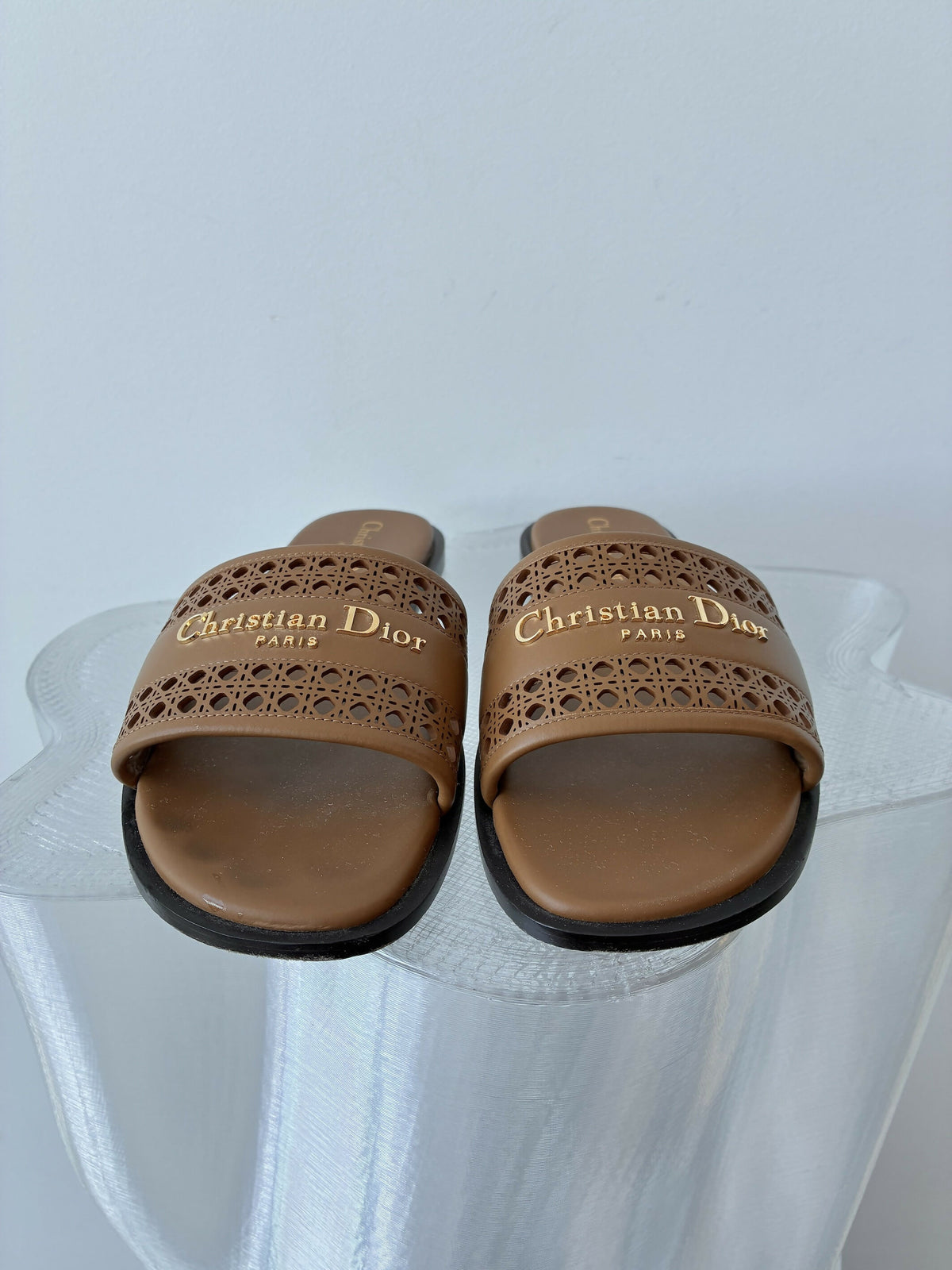 Christian Dior D-Lane Slide in Chestnut