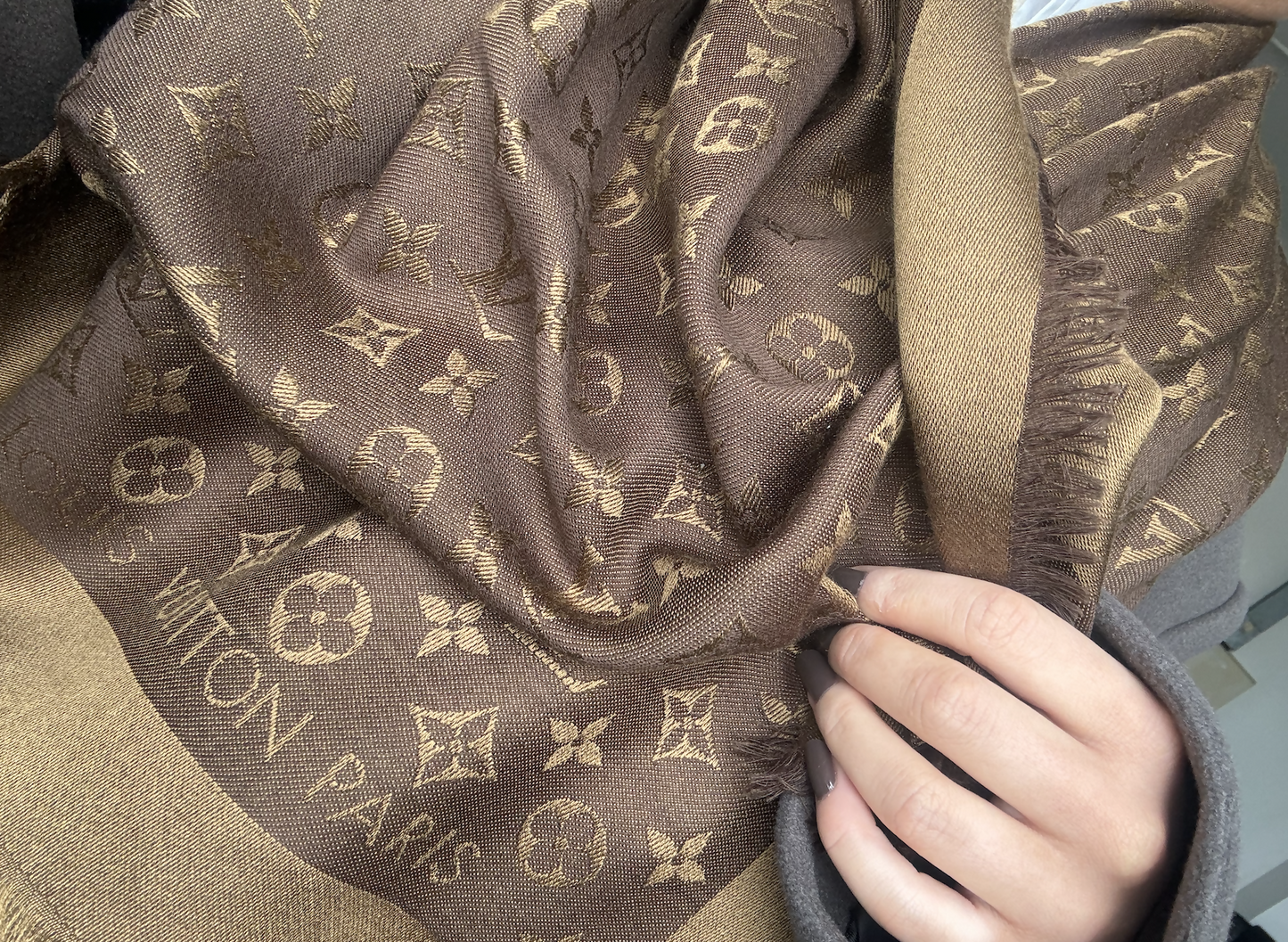 Louis Vuitton Scarf