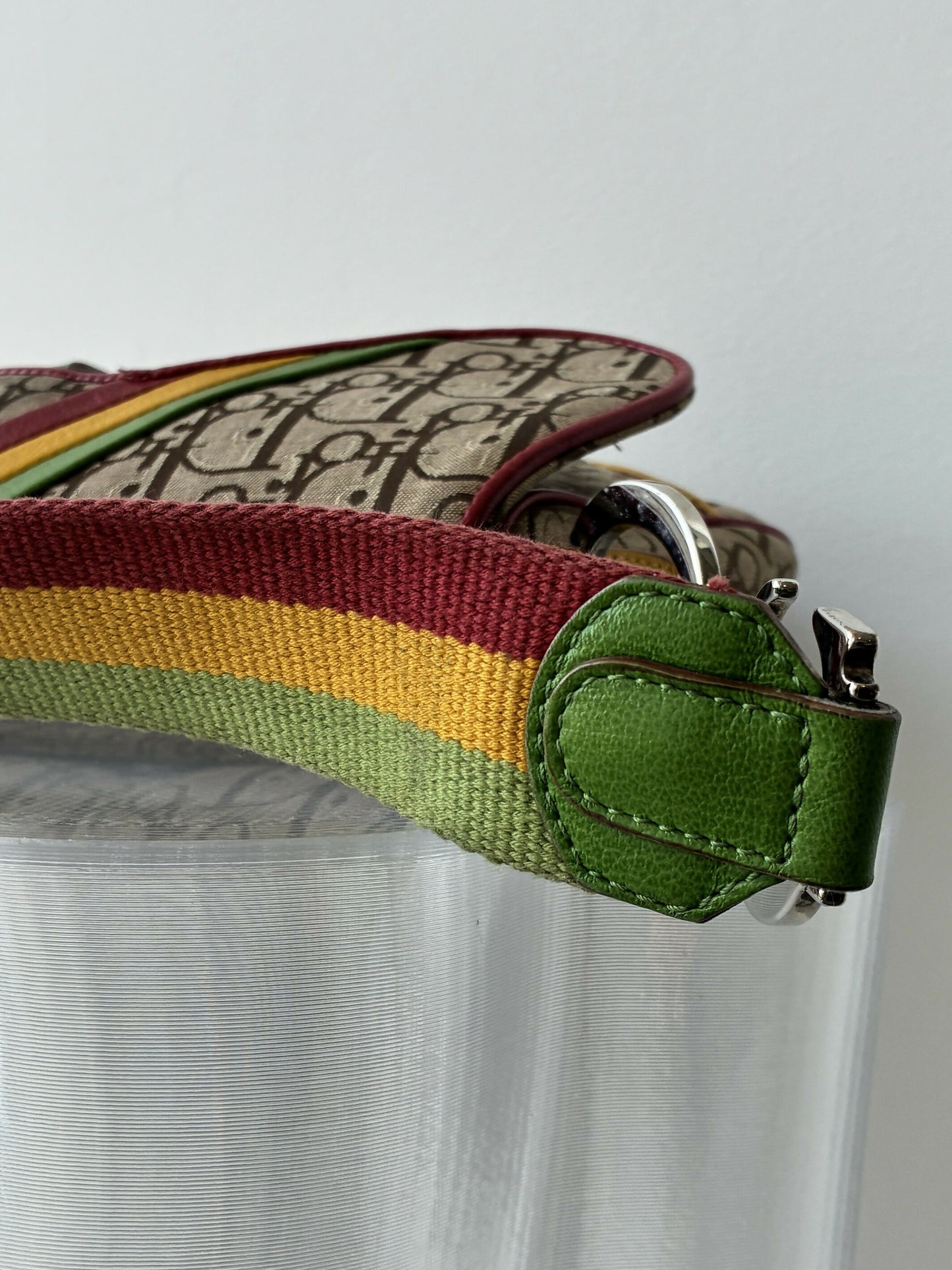 Dior Rasta Saddle Bag