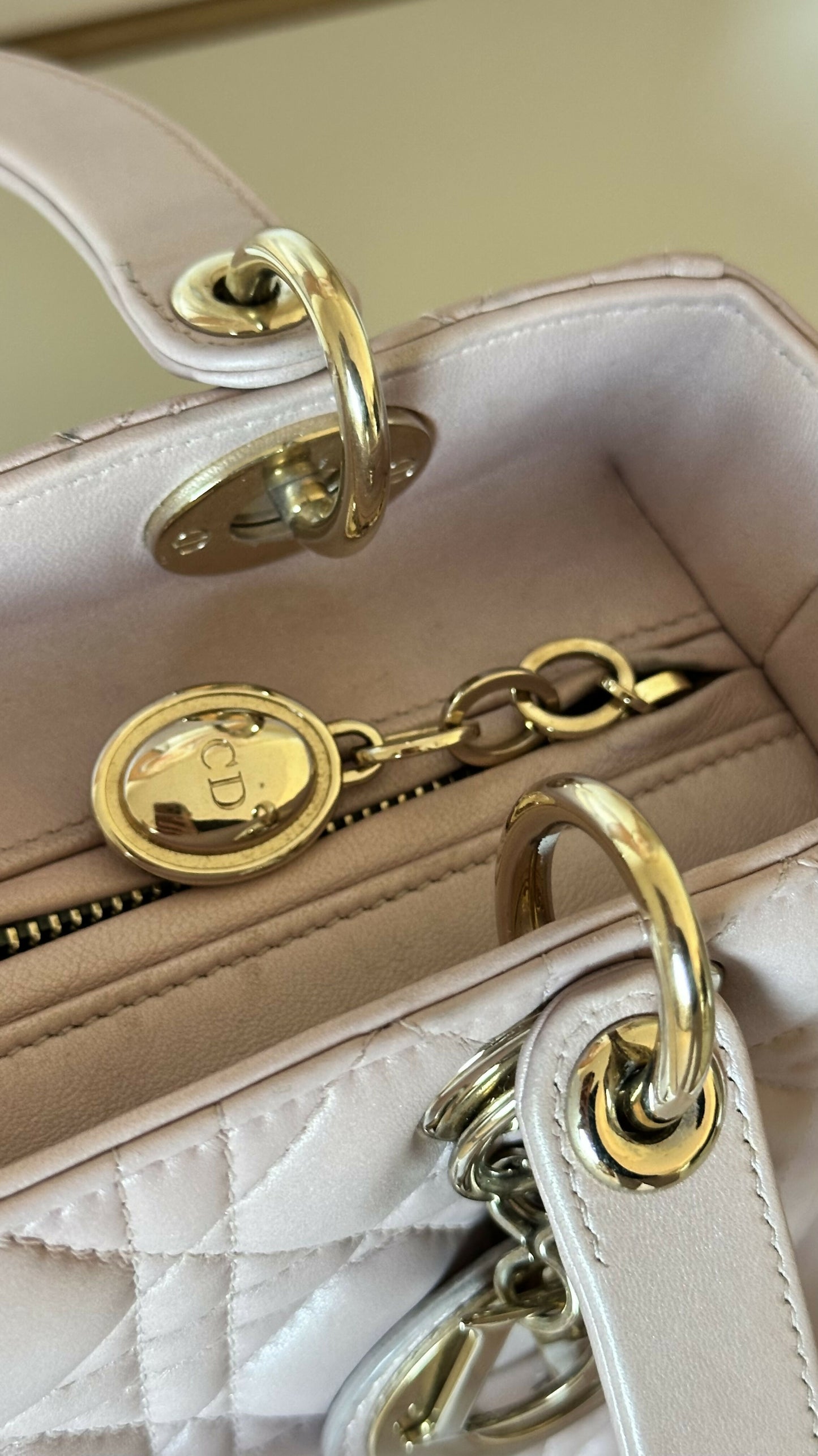 Christian Dior Medium Iridescent Lambskin Cannage Lady Satchel