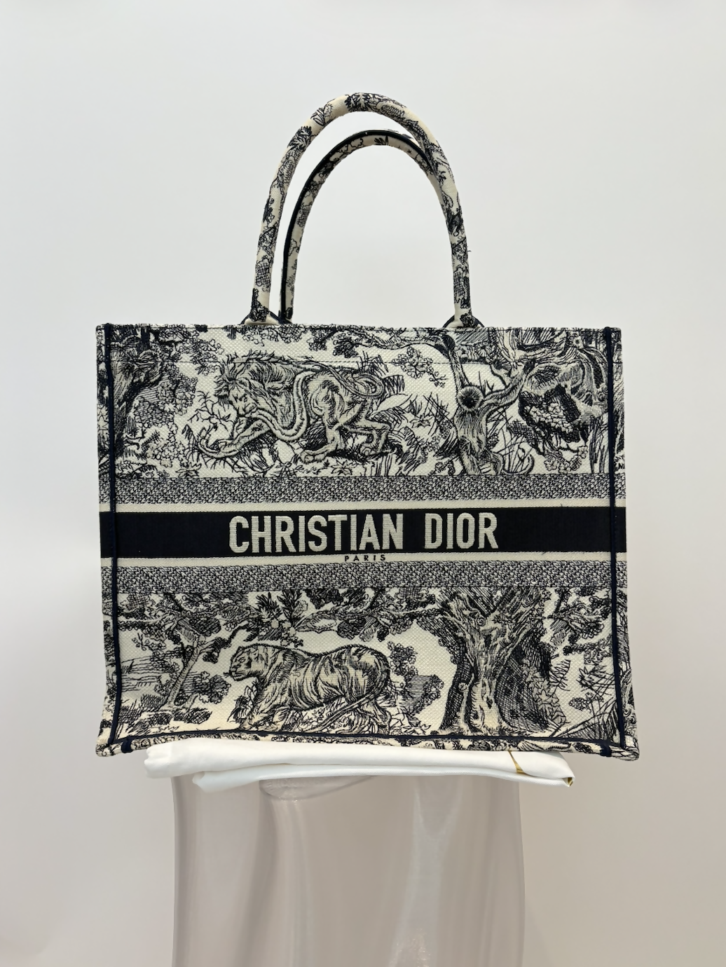 Dior Book Tote in Blue and Ecru Toile de Jouy Embroidery
