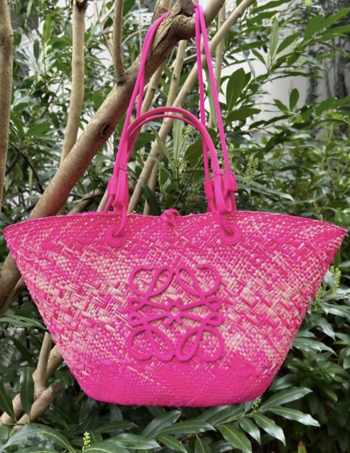 The Loewe Raffia Pink Wicker Basket Tote 2023 by EXCHANGE STORE, in great condition, features double handles and a decorative logo on the front, shown hanging from a tree branch with green leaves in the background.