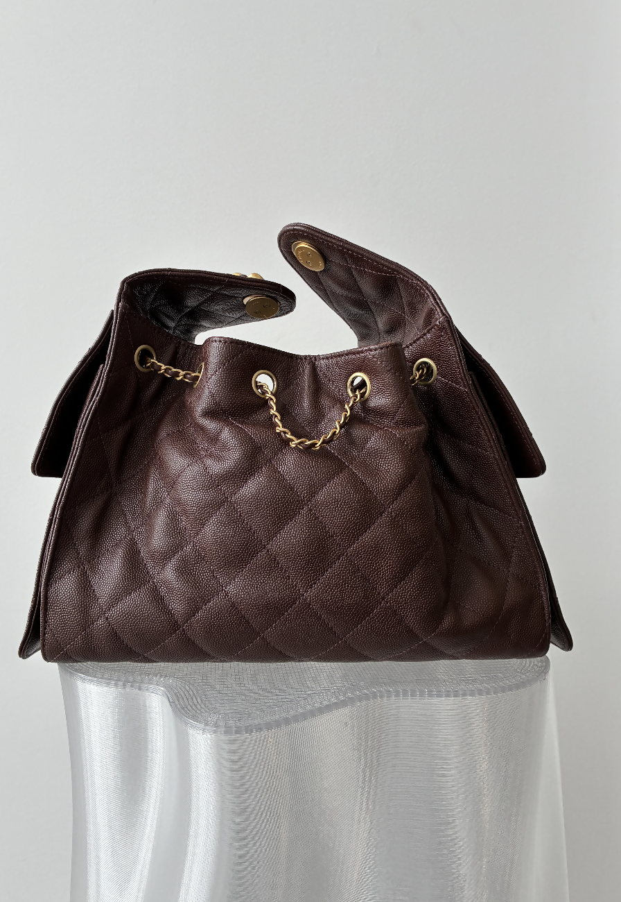 Chanel 25 Bag Rich Brown - FULL SET