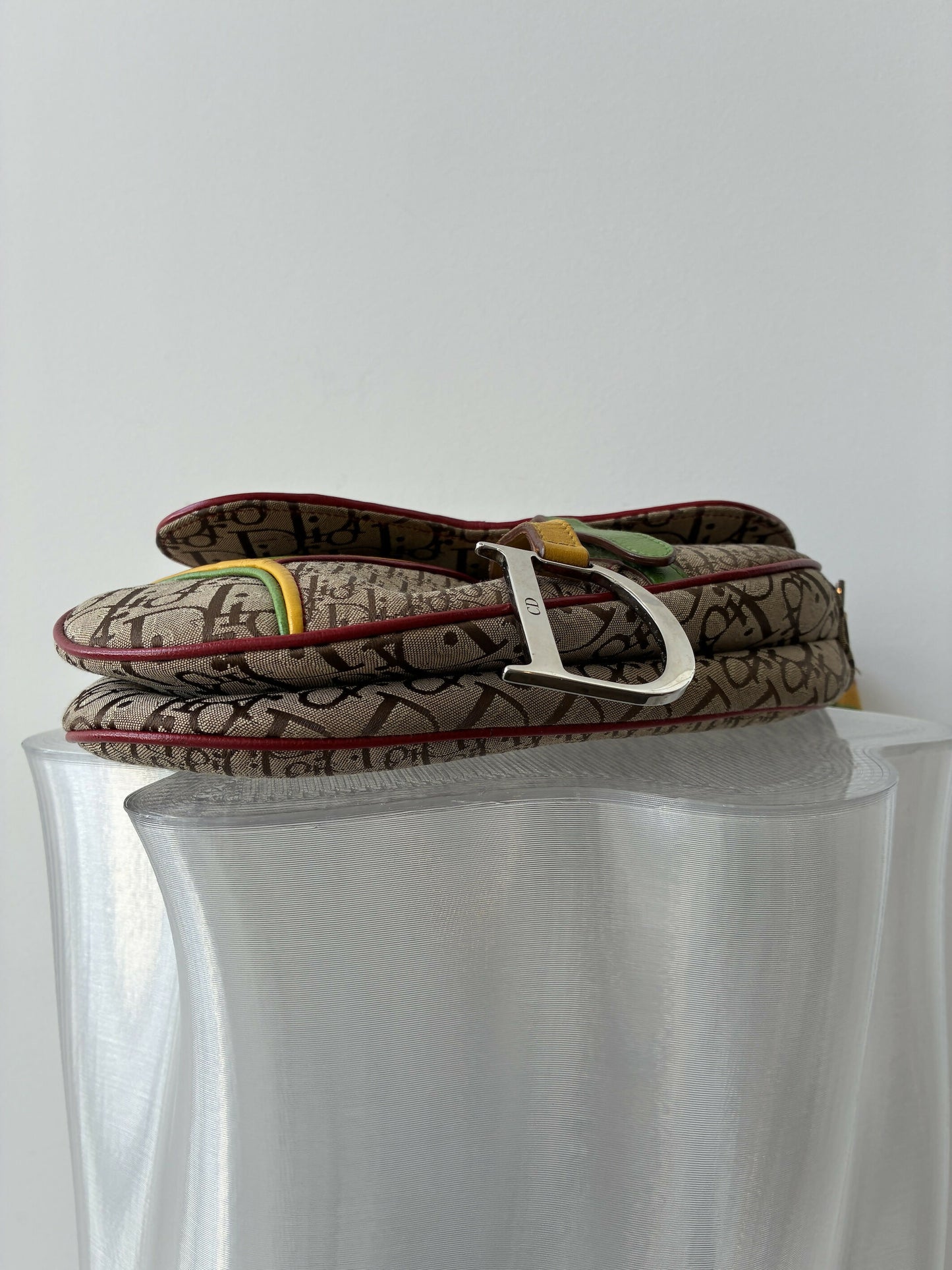 Dior Rasta Saddle Bag