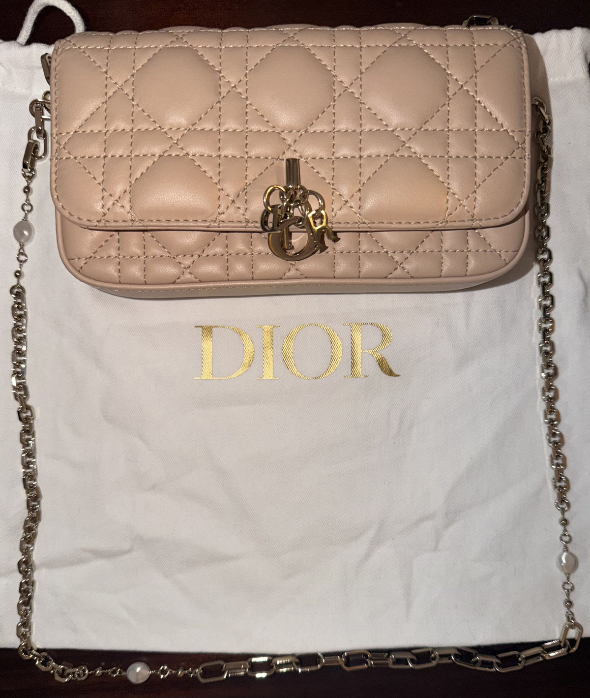 Lady Dior Phone Pouch