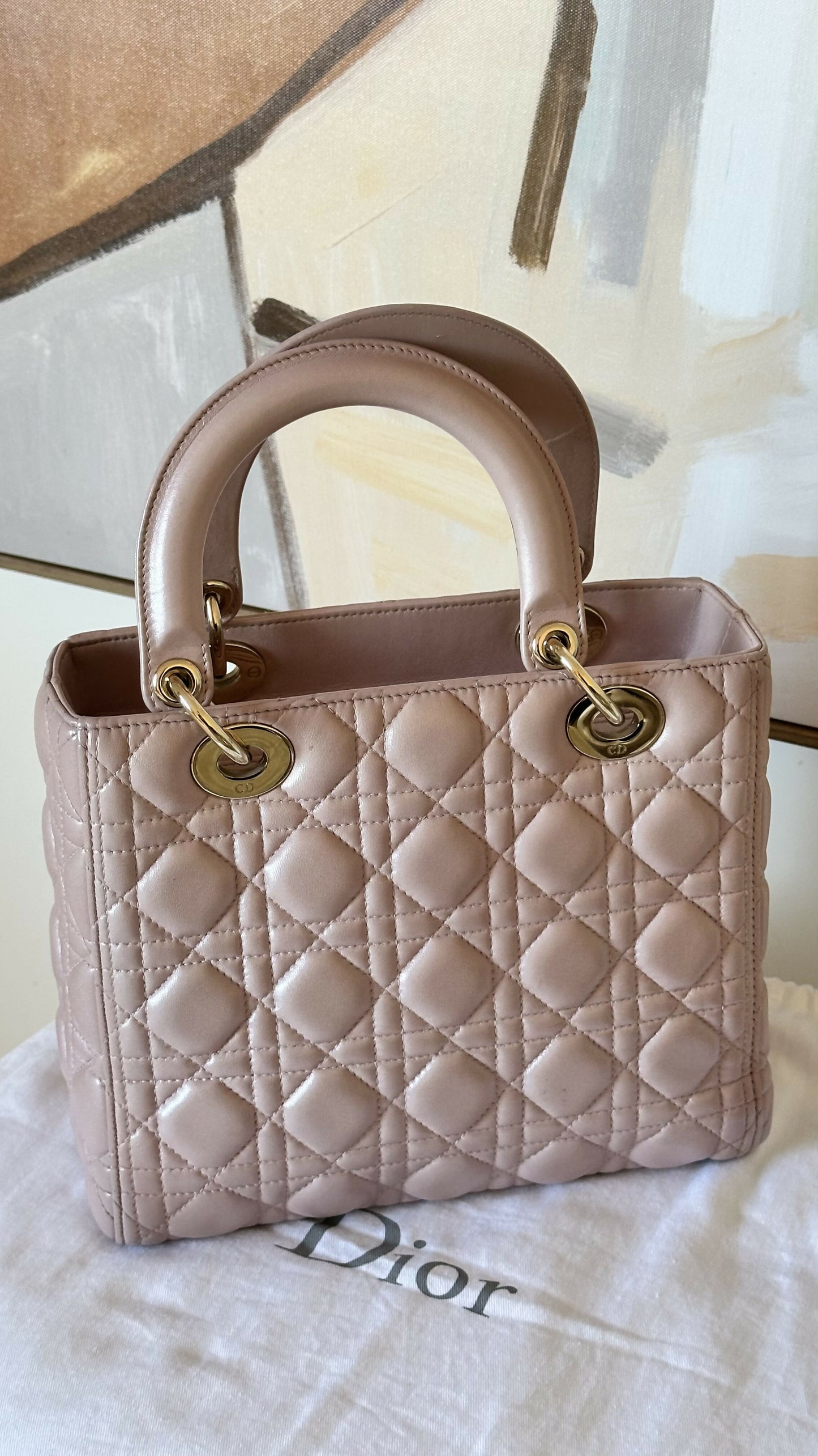 Christian Dior Medium Iridescent Lambskin Cannage Lady Satchel