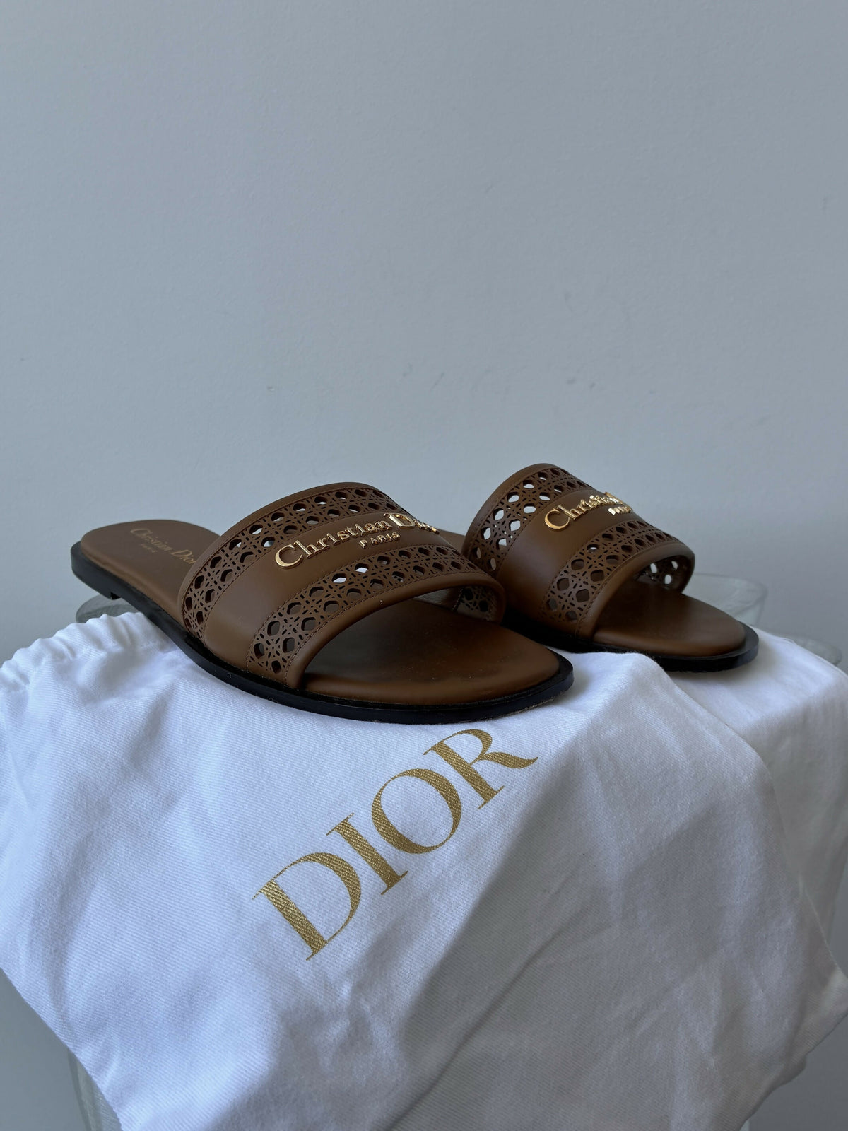 Christian Dior D-Lane Slide in Chestnut