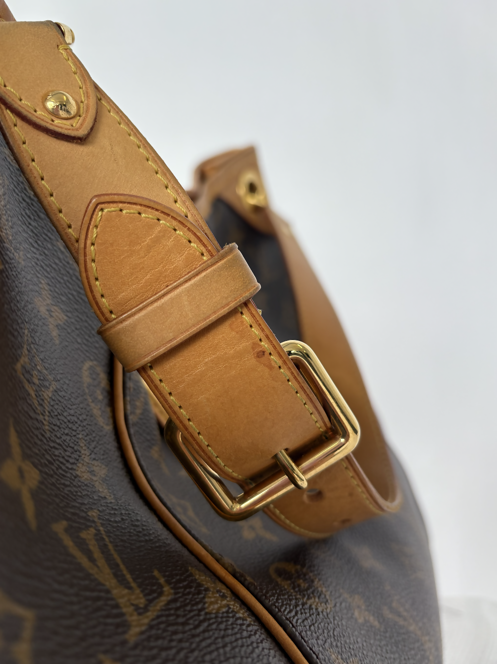 Louis Vuitton Galliera PM in Monogram Canvas