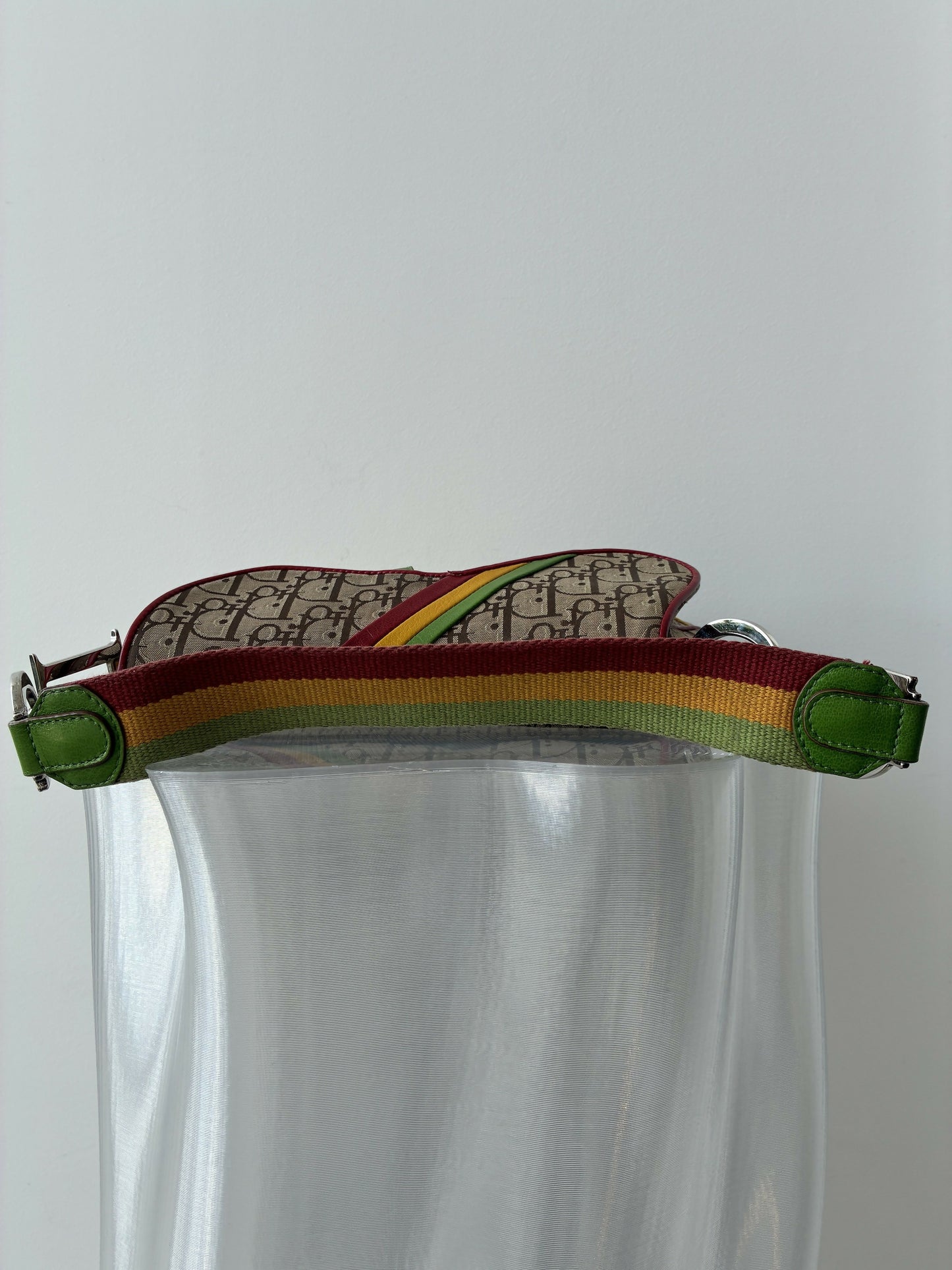 Dior Rasta Saddle Bag