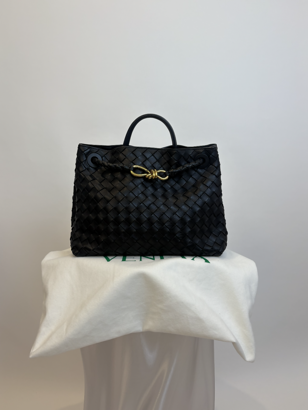 Bottega Veneta Medium Andiamo Bag