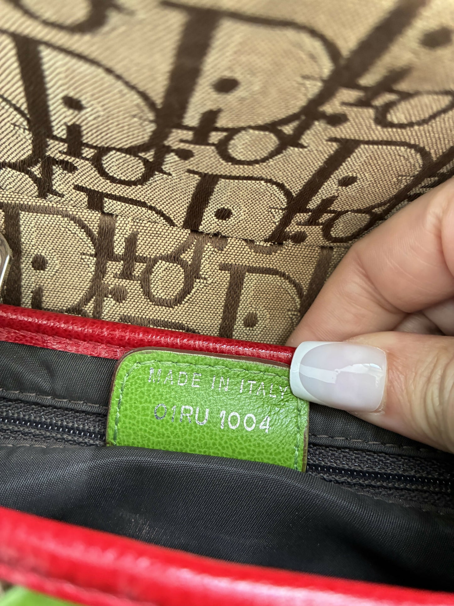 Dior Rasta Saddle Bag