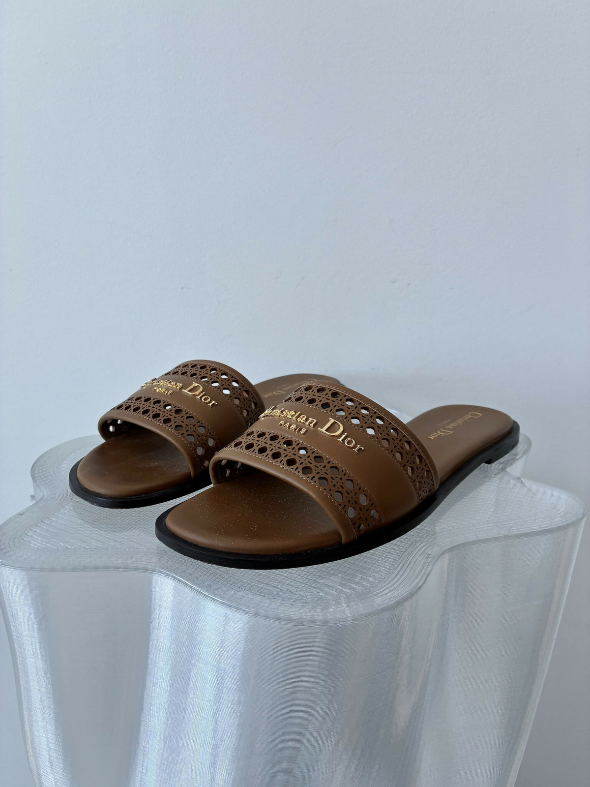 Christian Dior D-Lane Slide in Chestnut