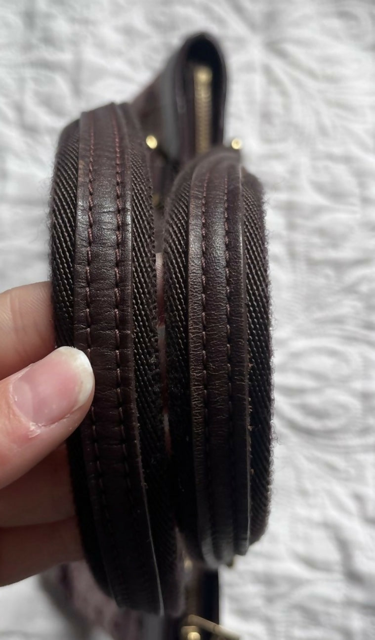 Louis Vuitton Lucille Bag