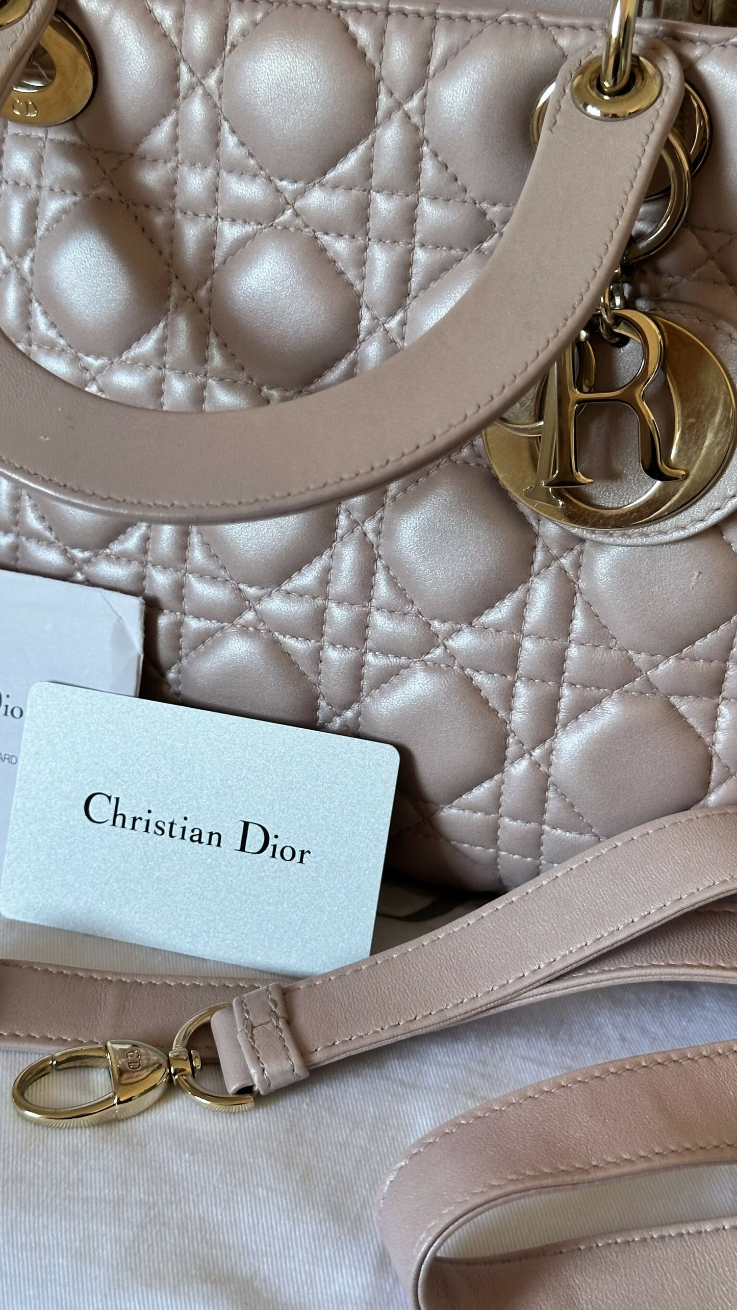 Christian Dior Medium Iridescent Lambskin Cannage Lady Satchel