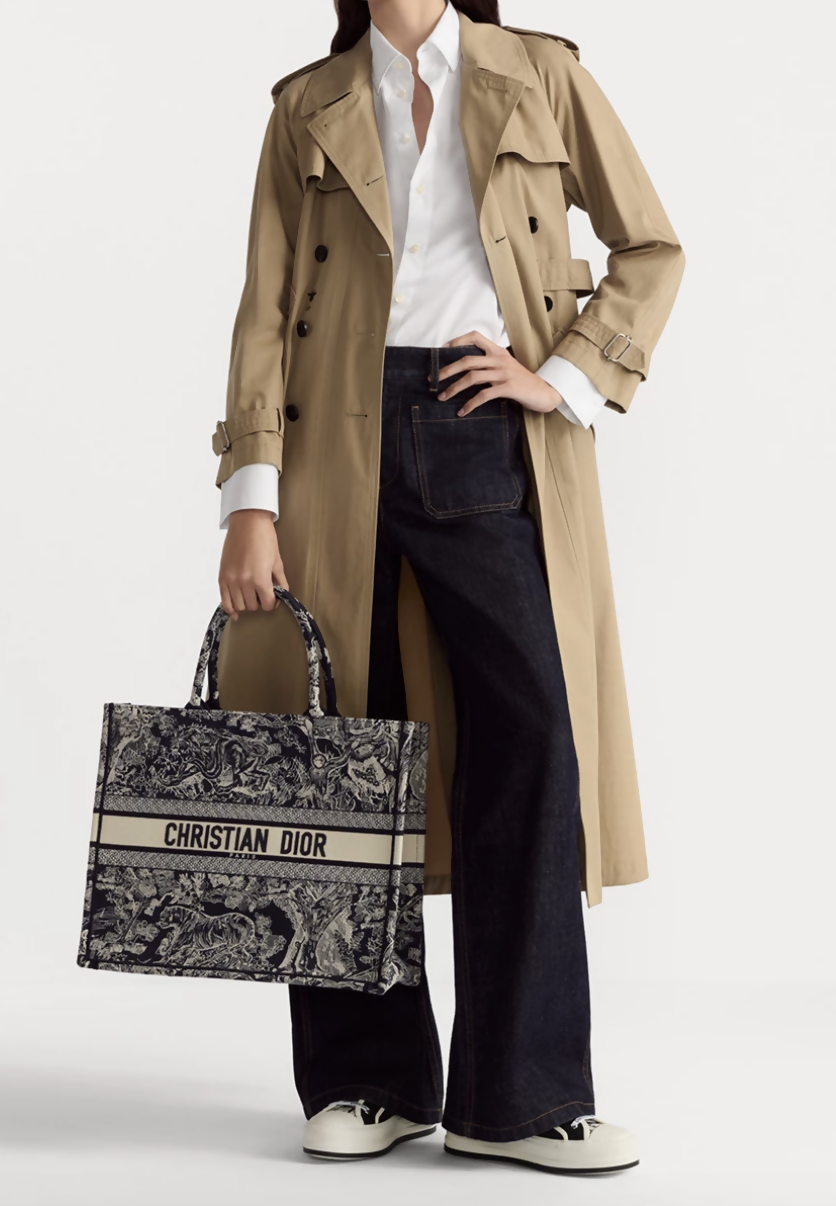 Dior Book Tote in Blue and Ecru Toile de Jouy Embroidery