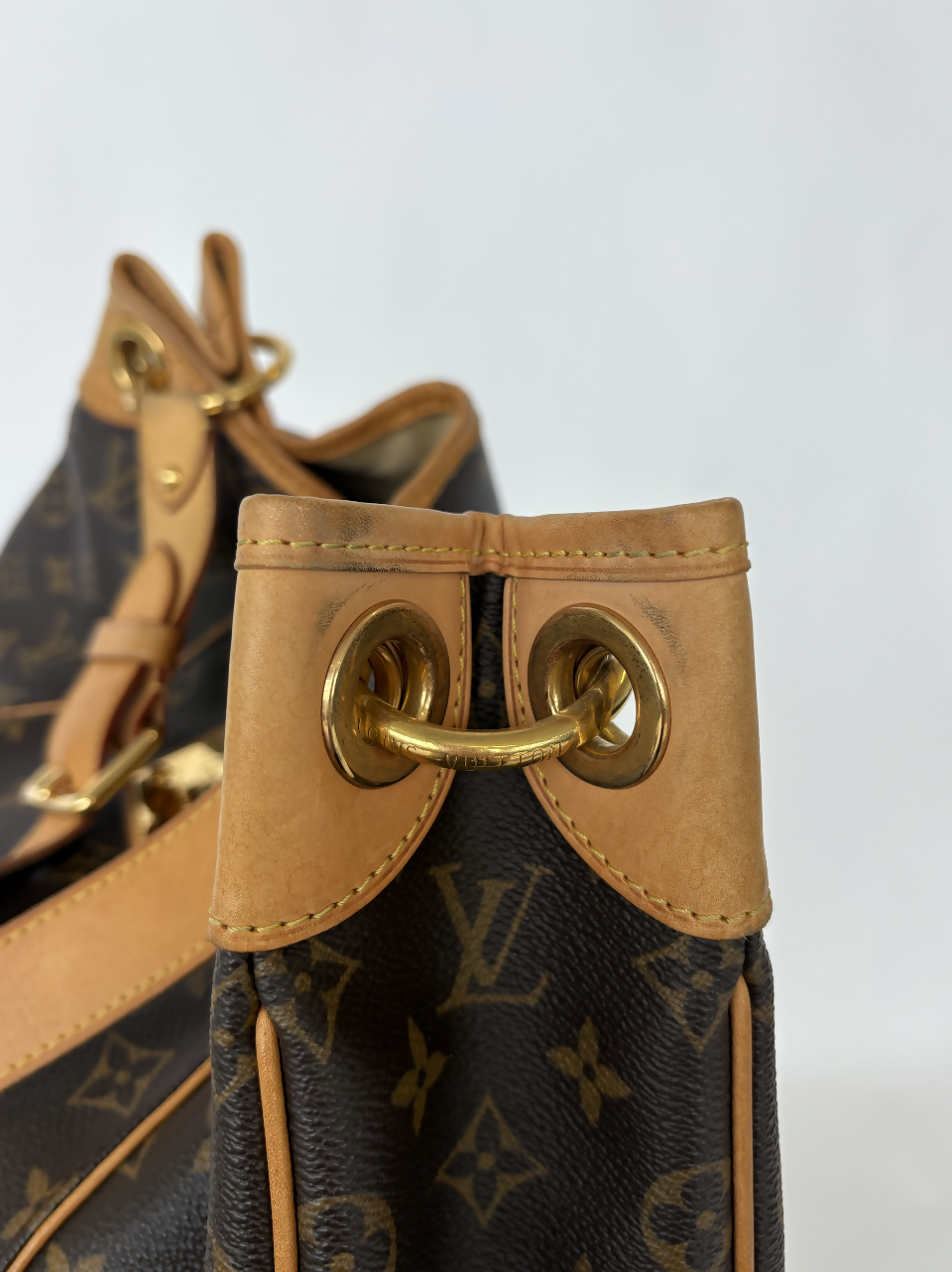 Louis Vuitton Galliera PM in Monogram Canvas