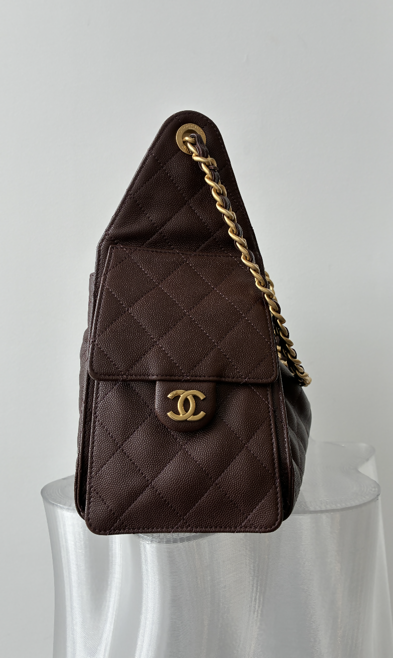 Chanel 25 Bag Rich Brown - FULL SET