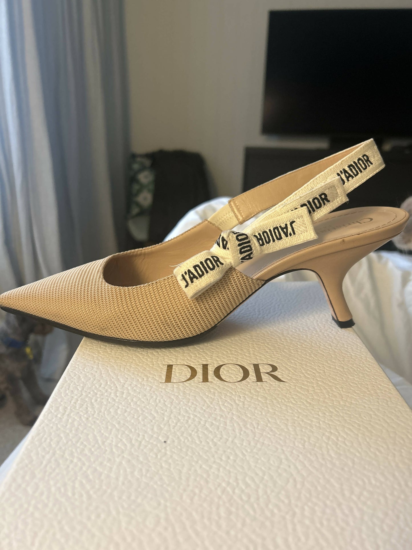 Dior Sling Backs Fabric &Ribbon - full set